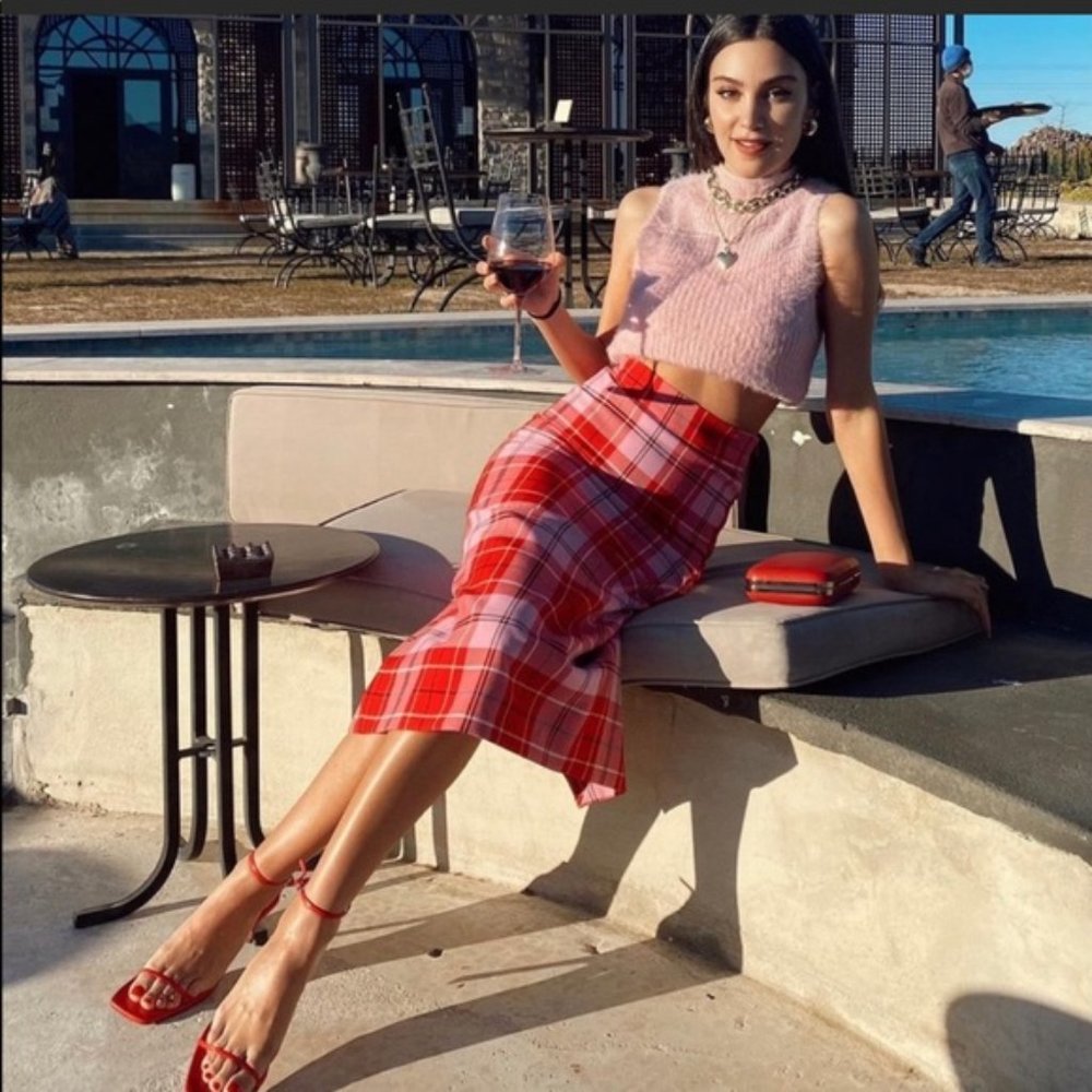 Zara plaid skirt red pink new